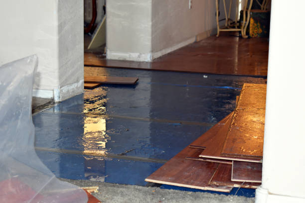 Professional Burst Pipe Cleanup technician working in Lexington, MO