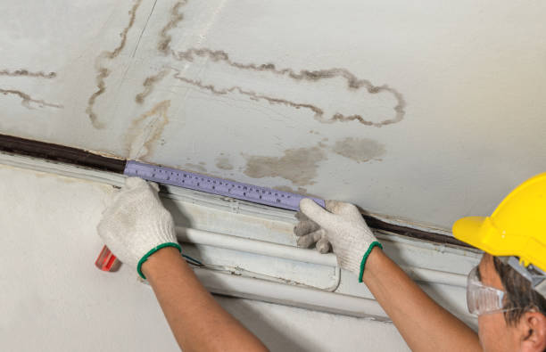 Reliable Burst Pipe Cleanup contractor in Lexington, MO by Water Damage Irwin